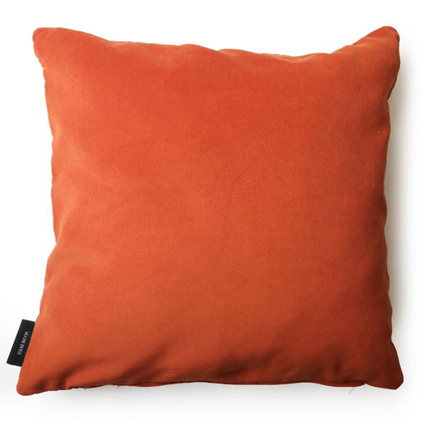 cushion