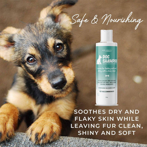 dog shampoo