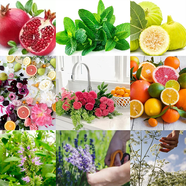 Gift box of 3 soaps- women