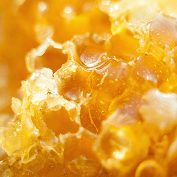 honey lip balm
