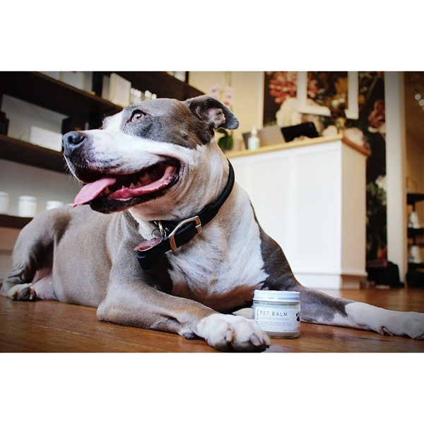 pet balm