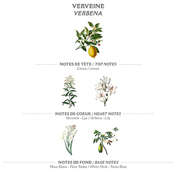 verbena
